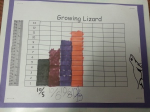 measurement-worksheet