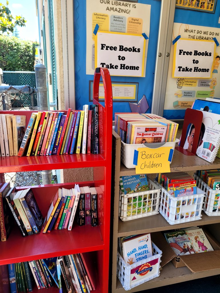 autism summer program ideas
